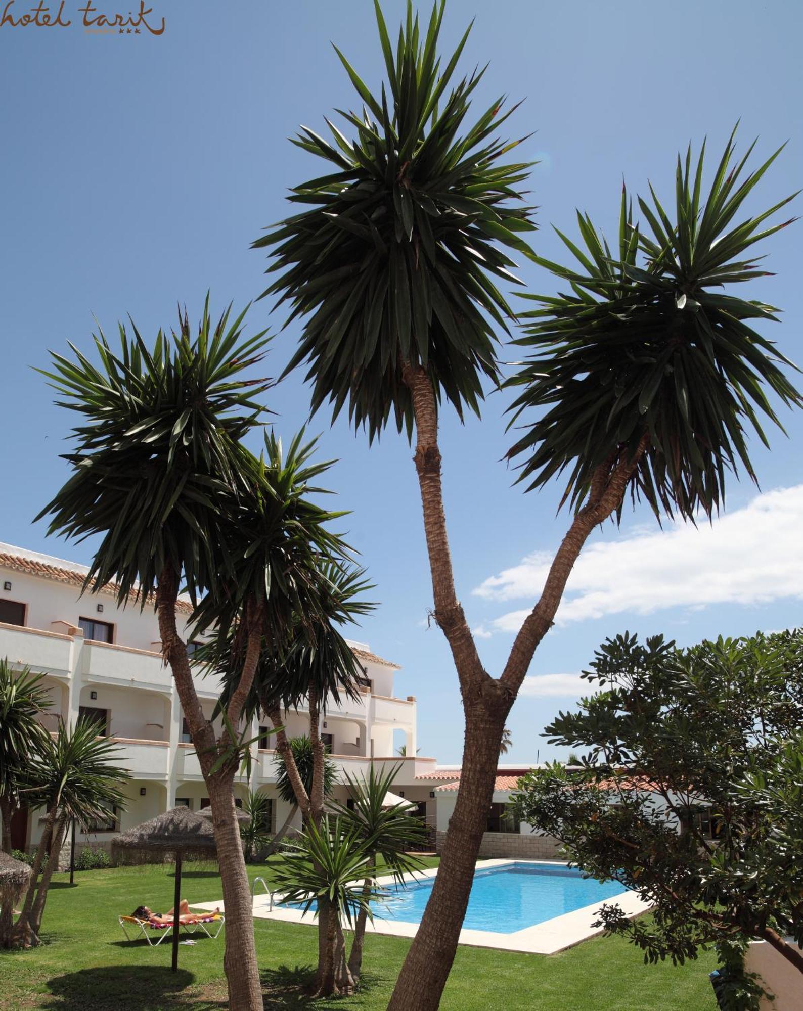 Hotel Tarik Torremolinos Dış mekan fotoğraf